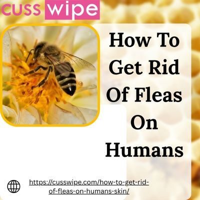 How To Get Rid Of Fleas On People